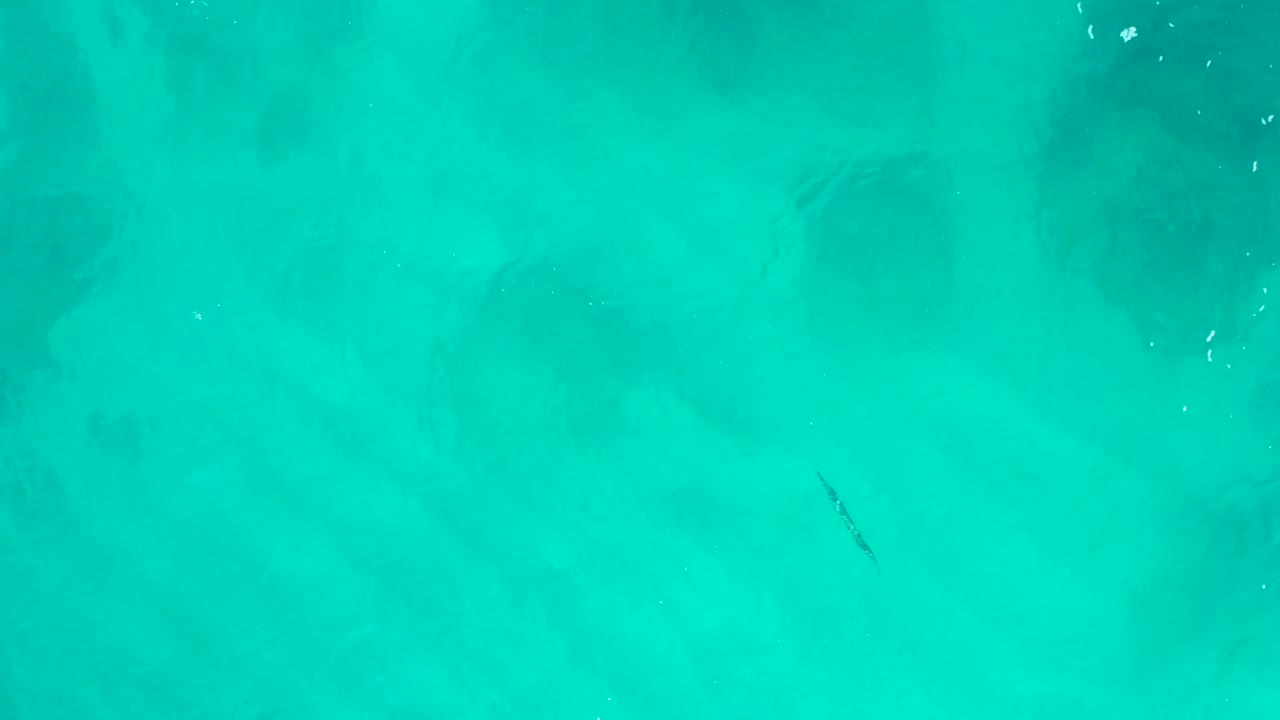 Bright turquoise shallow water with dark patches under the surface.