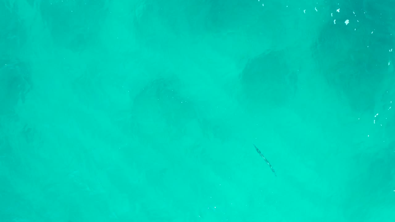 Bright turquoise ocean surface with a small dark diagonal shape under the water.