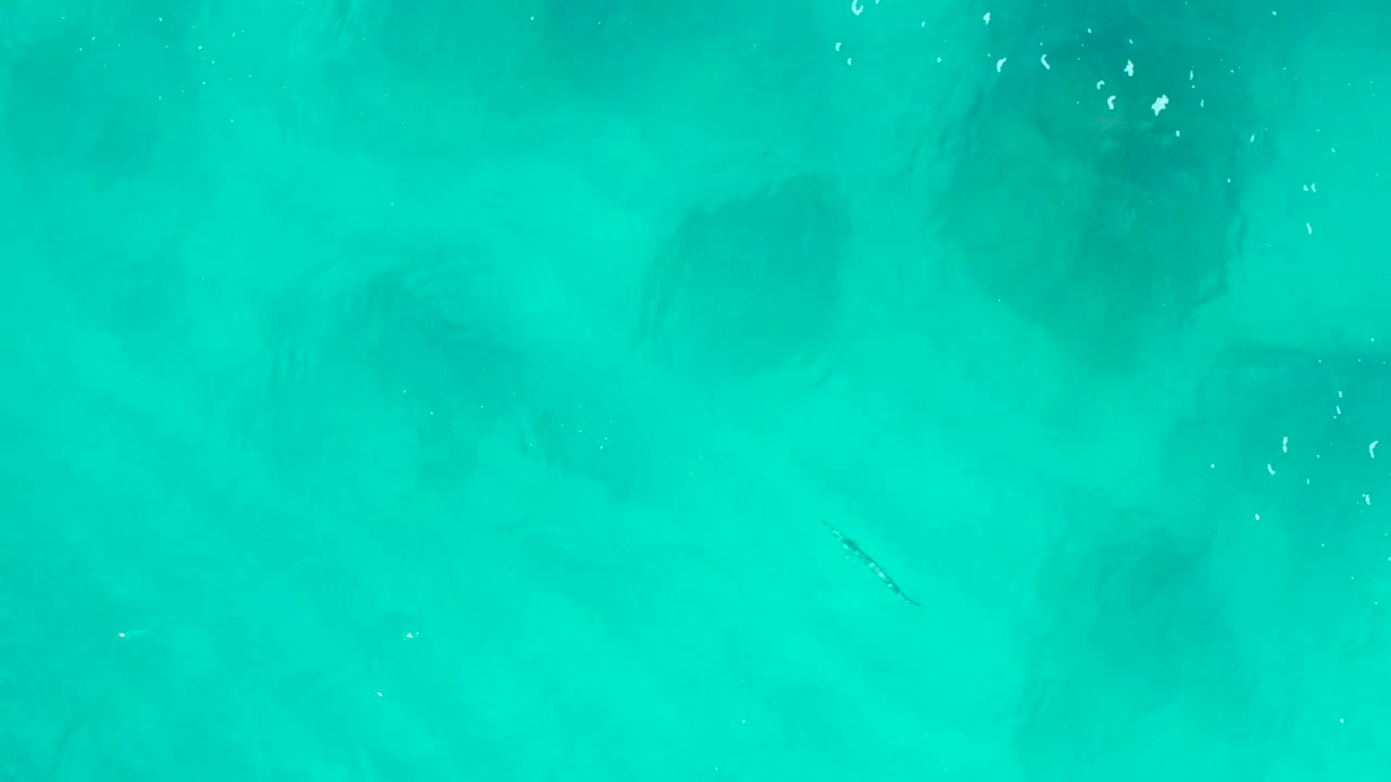 Aerial frame of teal water in Baja California Sur with darker submerged-looking shapes spread across the view and no visible people.