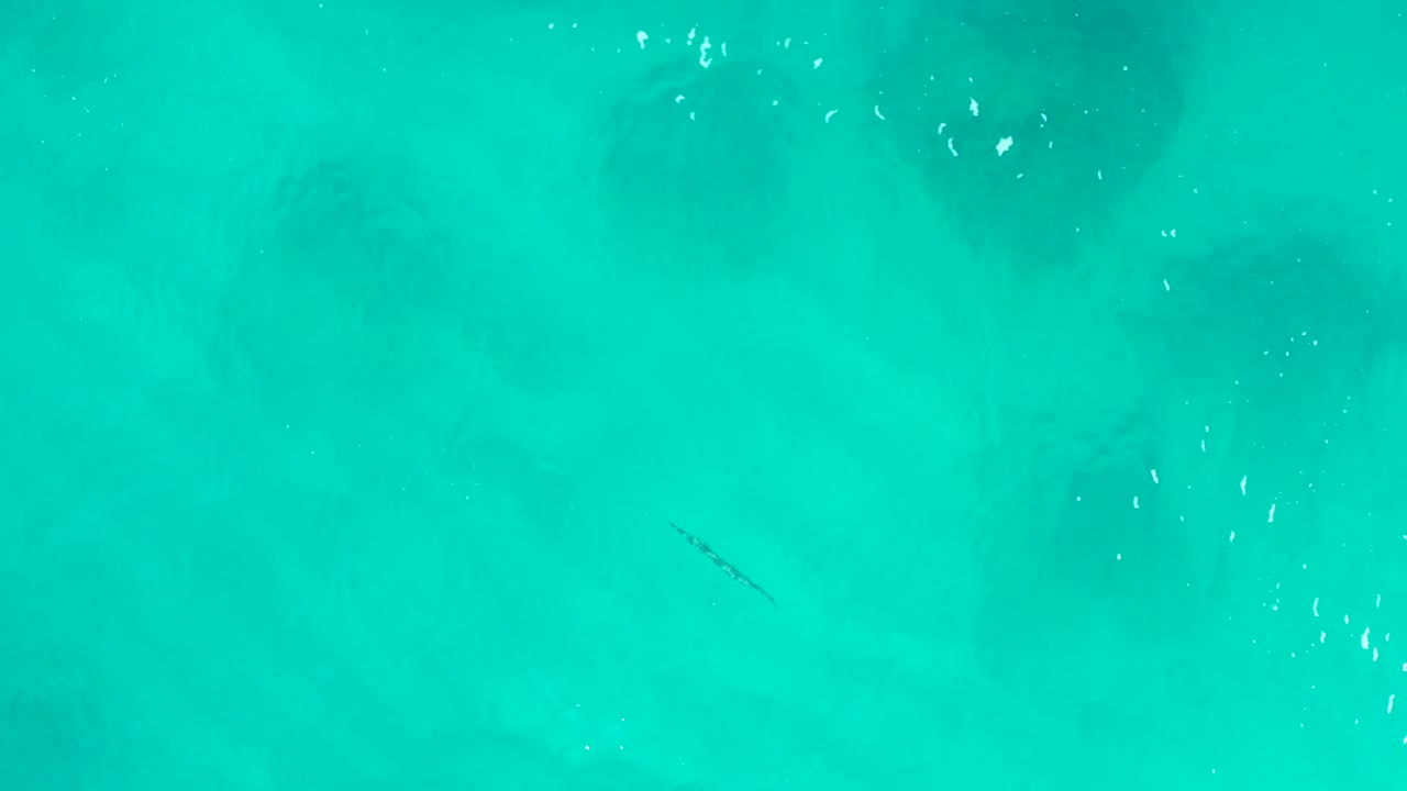 Overhead view of turquoise water in Baja California Sur with dark submerged patches, scattered white surface specks, and no visible people.
