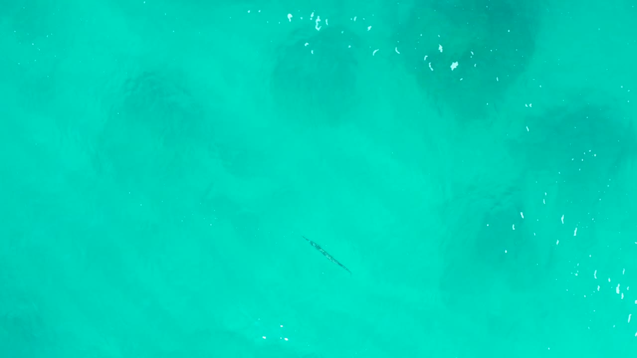 Top-down turquoise water over darker underwater forms in Baja California Sur, with small white flecks near the surface and no visible people.