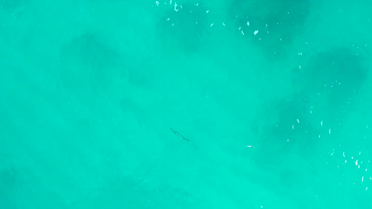 Vertical aerial frame of turquoise coastal water in Baja California Sur with a small dark linear mark, faint submerged shadows, and no visible people.