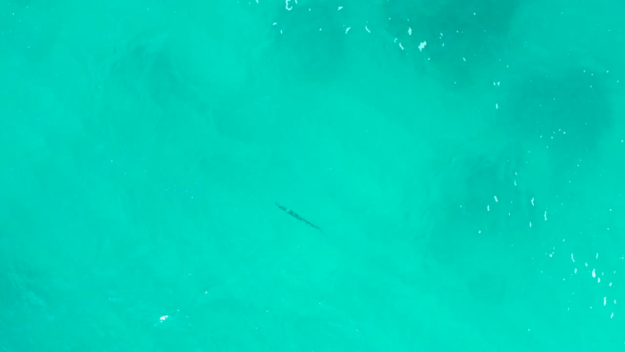 Overhead Baja California Sur water view with bright turquoise color, mottled darker underwater patches, surface flecks, and no visible people.