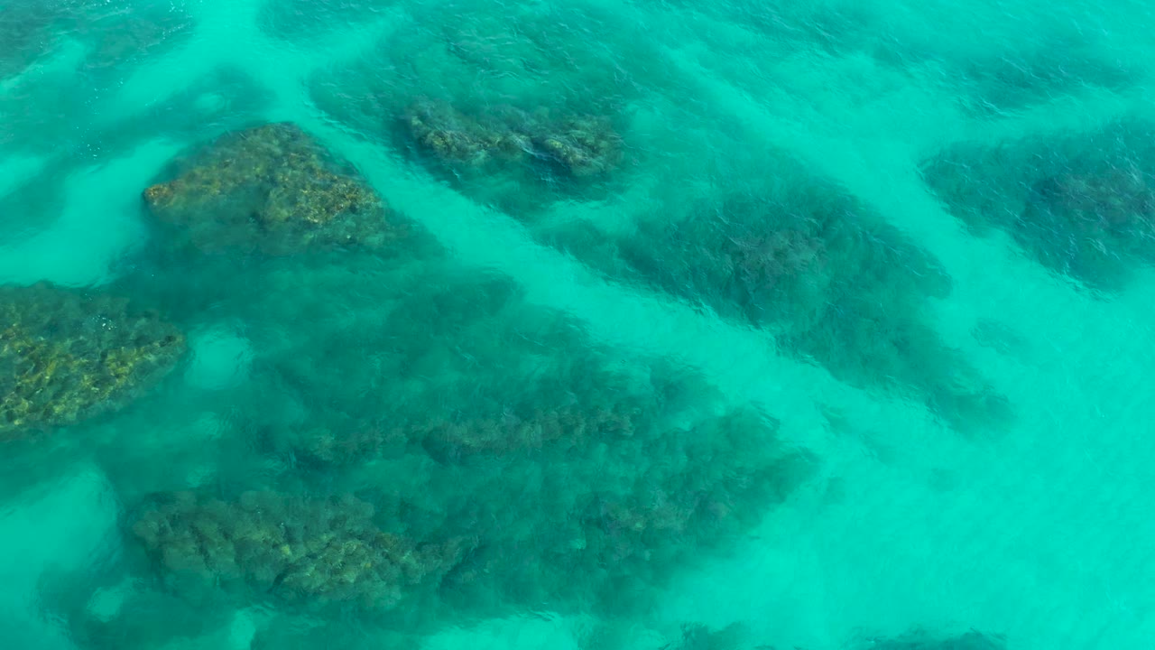 Large reef patch below rippled turquoise water.