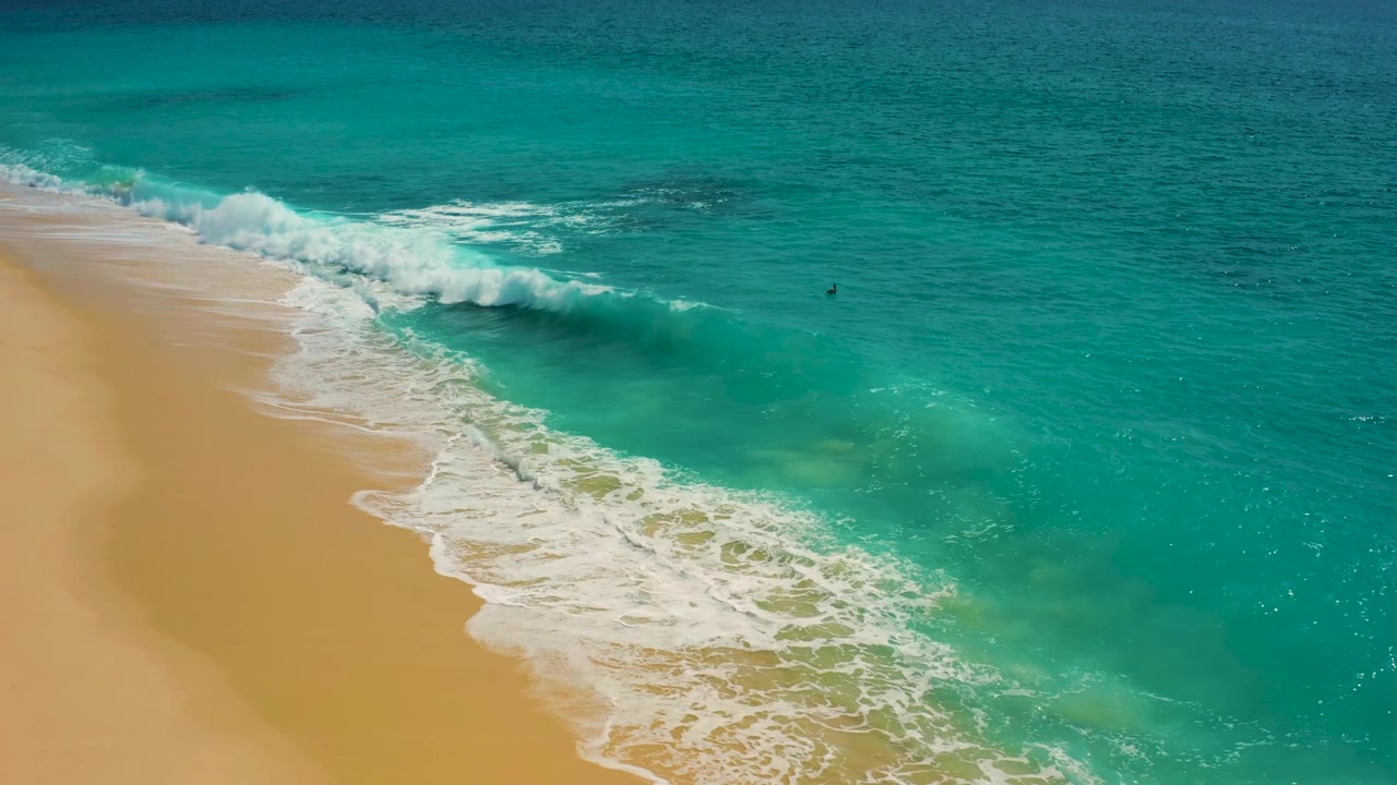 High-angle aerial frame in Baja California Sur showing a thicker wave crest moving toward the beach, with a tiny dark swimmer visible far offshore at right.