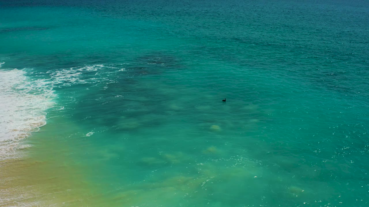High-angle coastal view in Desert Park Natural Reserve with breaking foam at the left edge, turquoise water across the frame, and a tiny dark offshore object, no visible people.