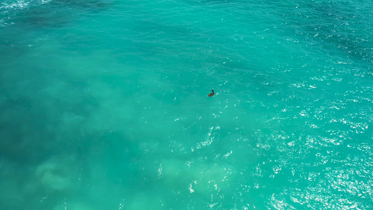 Aerial view in Desert Park Natural Reserve, Baja California Sur, Mexico, showing a small swimmer near the upper center of bright turquoise water with darker underwater patches to the left.