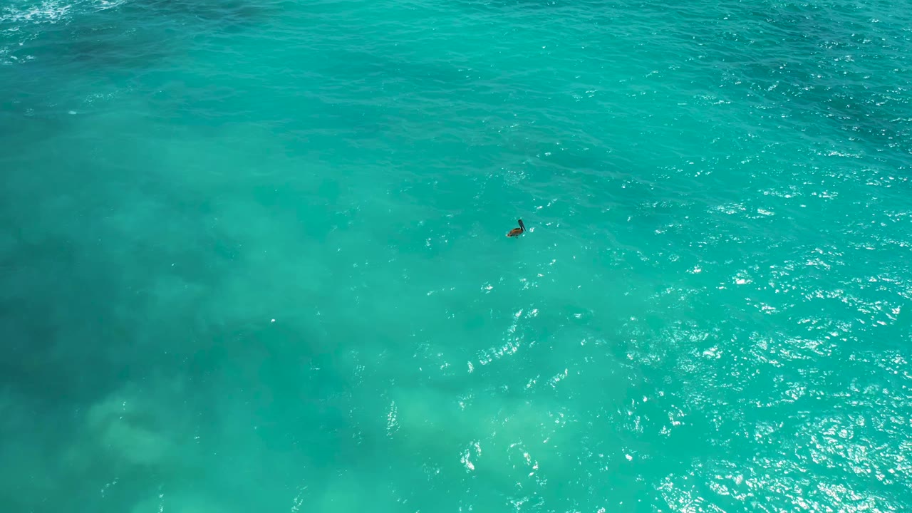 Small swimmer in clear blue-green water with sun sparkle on the right.