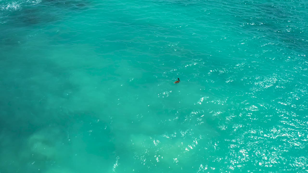 Aerial view in Desert Park Natural Reserve, Baja California Sur, Mexico, showing the lone swimmer near the upper right over rippled turquoise sea with shadowy underwater areas at left.