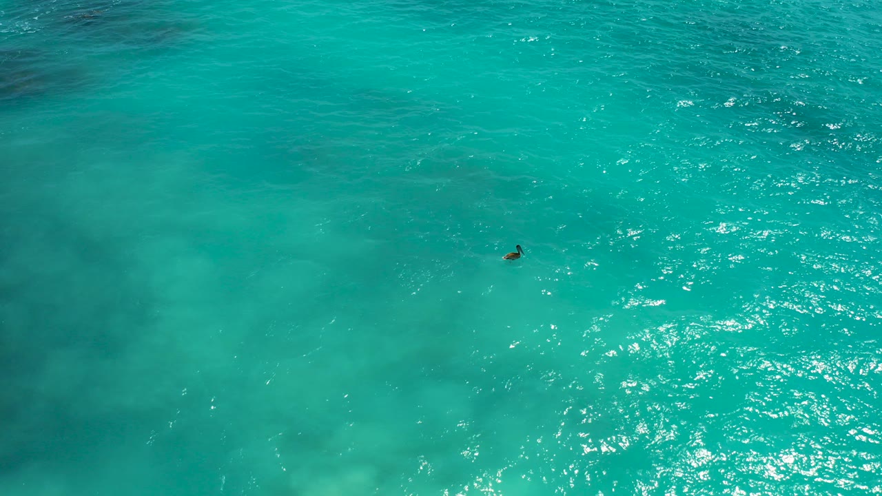 High-angle aerial frame from Desert Park Natural Reserve in Baja California Sur showing a lone snorkeler as a small figure on bright turquoise water with sun glitter to the right.