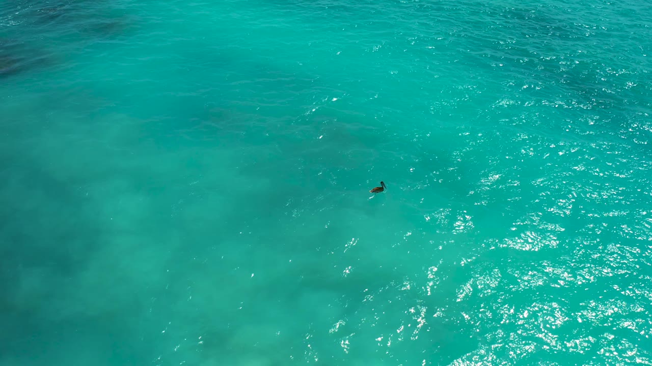 Top-down drone-style frame from Baja California Sur with one snorkeler near the middle, rippled teal water around them, and bright sun flecks clustered to the right.