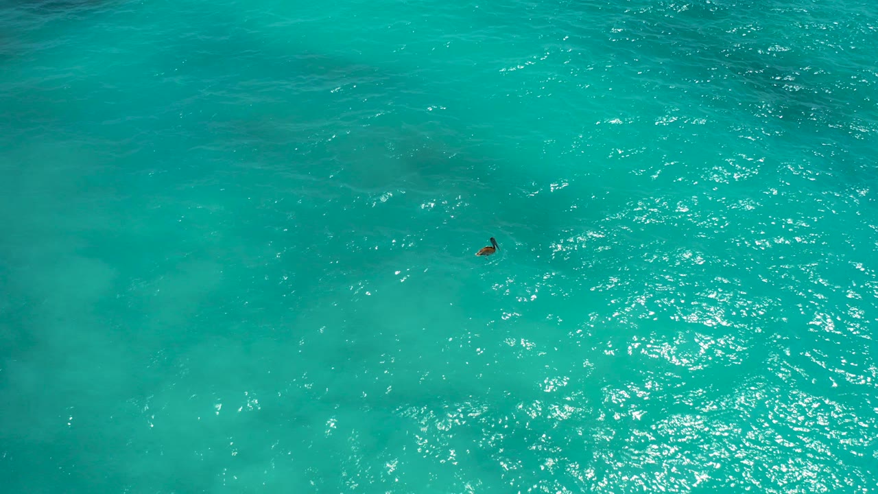 Top-down view in Baja California Sur, Mexico, showing turquoise ocean water with bright surface reflections and a small swimmer near the upper-left area of the frame.