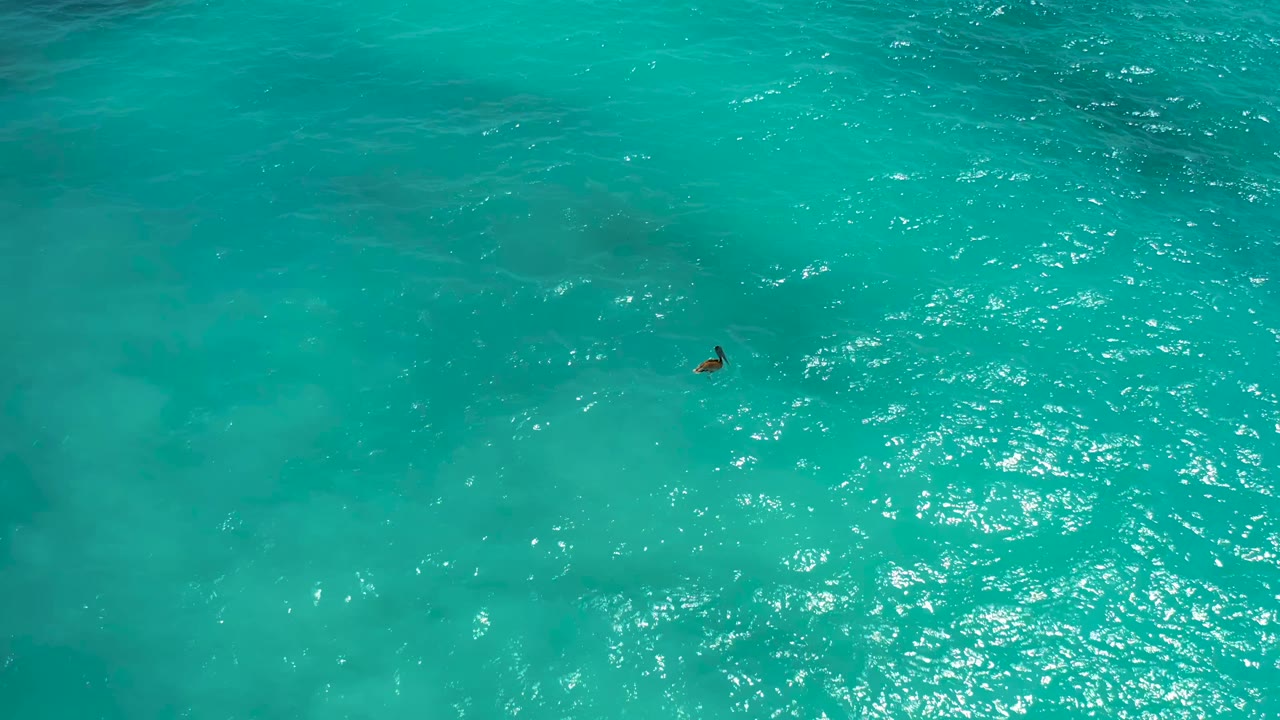 Overhead ocean surface with a distant swimmer and bright wave reflections