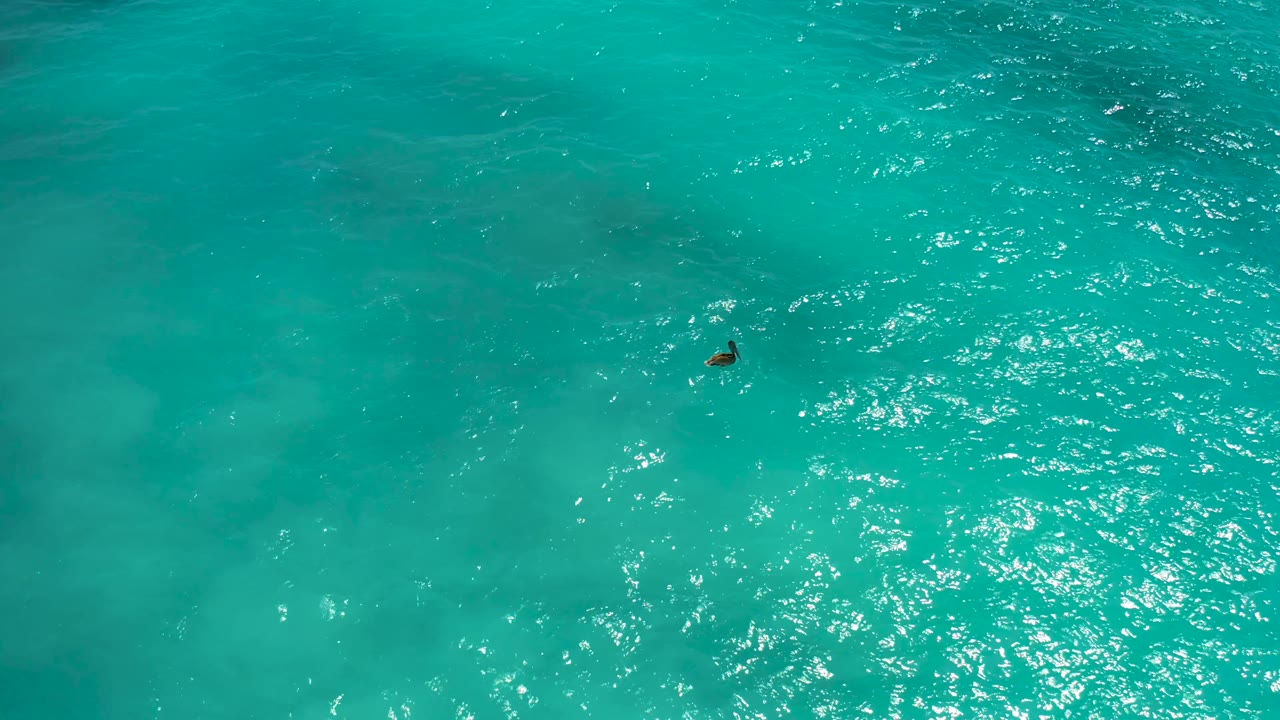 Top-down ocean view in Baja California Sur, Mexico, with one small swimmer near the upper-right portion and a broad field of teal water below.