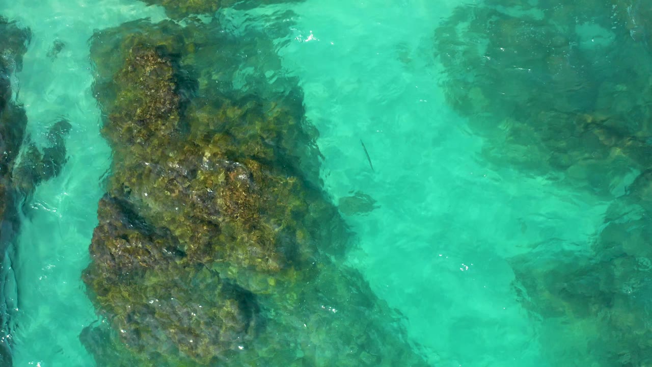 A large dark algae-covered underwater rock occupies the center-right of the Baja California Sur frame, surrounded by turquoise shallows and light surface glare, with no visible people.