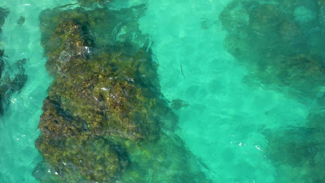 The aerial view holds over a vertical algae-covered rock form in clear turquoise water at Baja California Sur, with darker submerged shapes at the edges and no visible people.