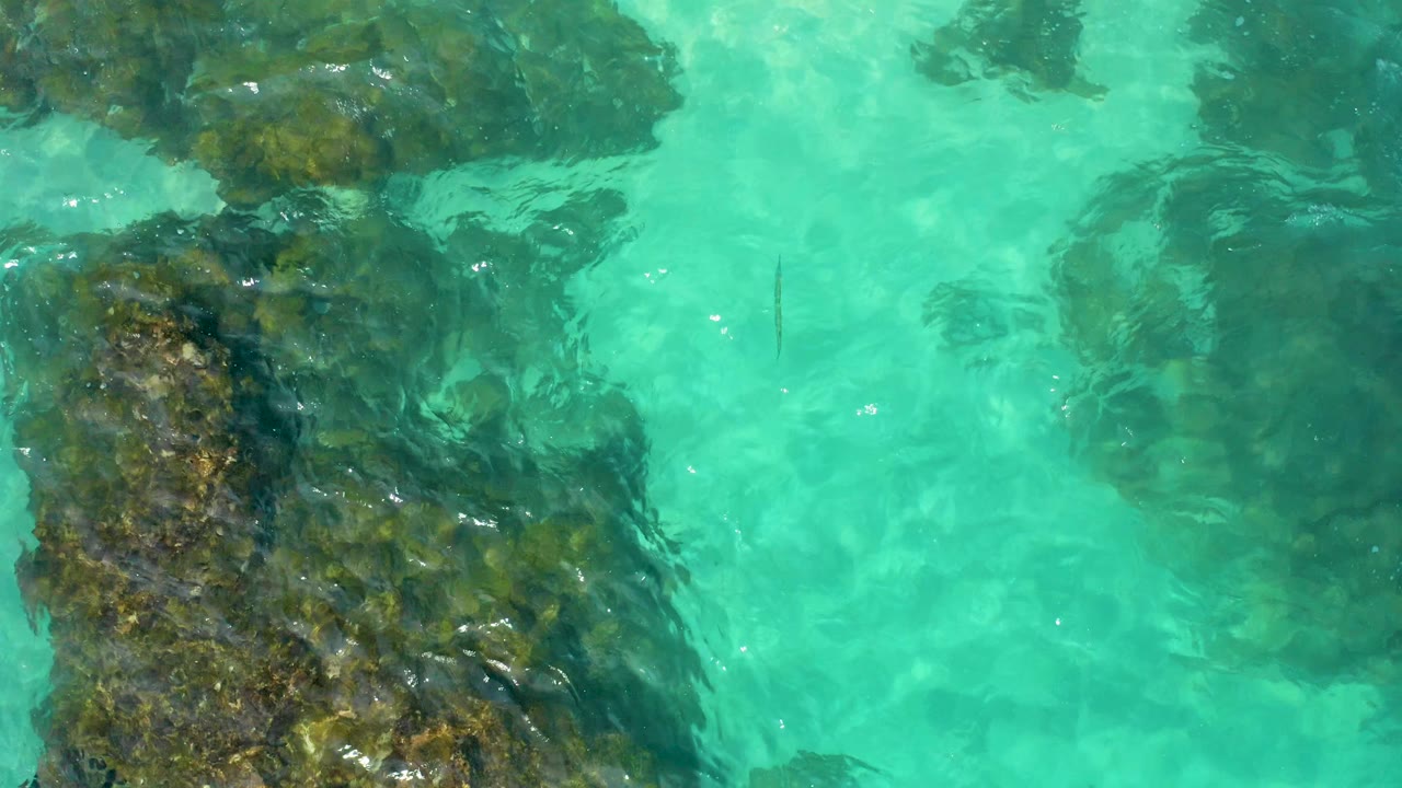 Bright turquoise sea covers dark submerged rocks, with wavering light patterns over the reef in Baja California Sur, Mexico, and no visible people.
