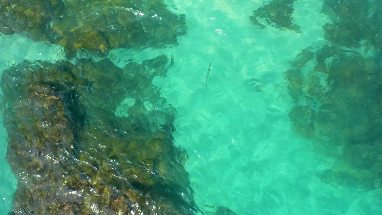 Overhead aerial frame of shallow turquoise water with dark reef shapes spread across the left and center in Baja California Sur, Mexico, with no visible people.