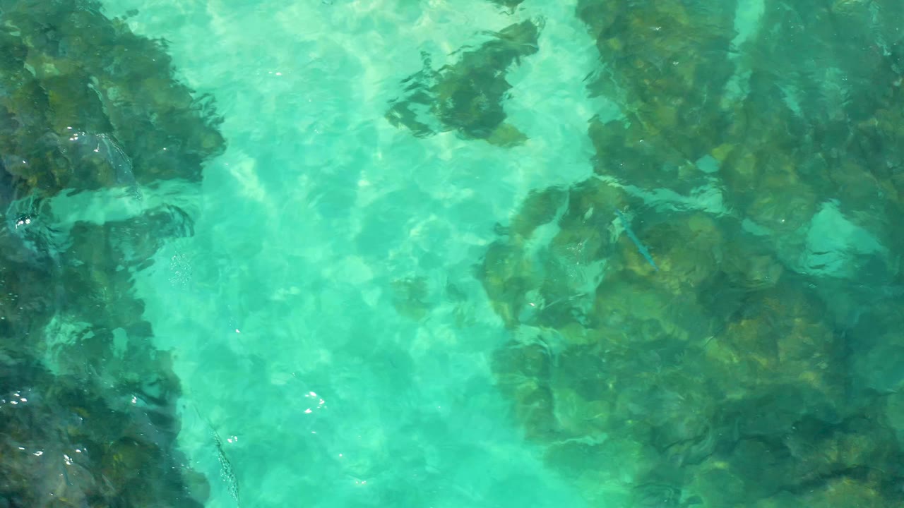 Clear turquoise water ripples across clustered dark underwater rocks in Baja California Sur, Mexico, with bright caustic highlights and no visible people.
