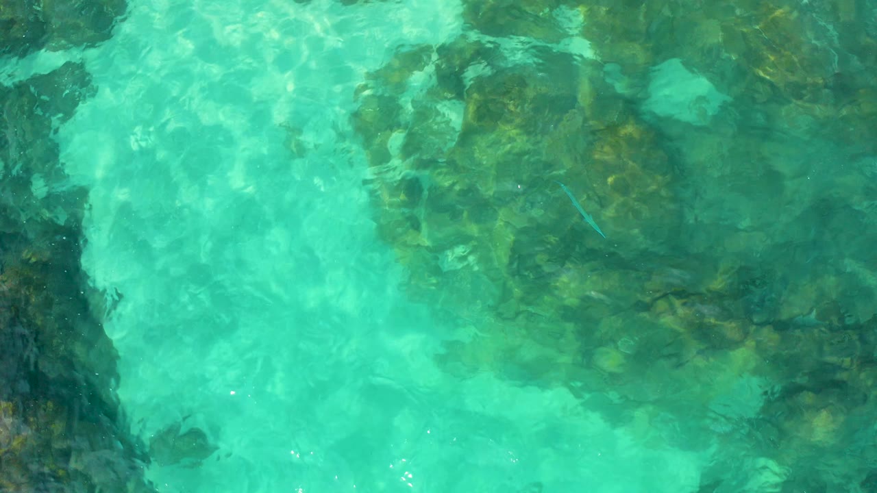 Top-down water texture shows pale turquoise shallows beside green-brown submerged rocks, with no visible people or vessels in Baja California Sur, Mexico.