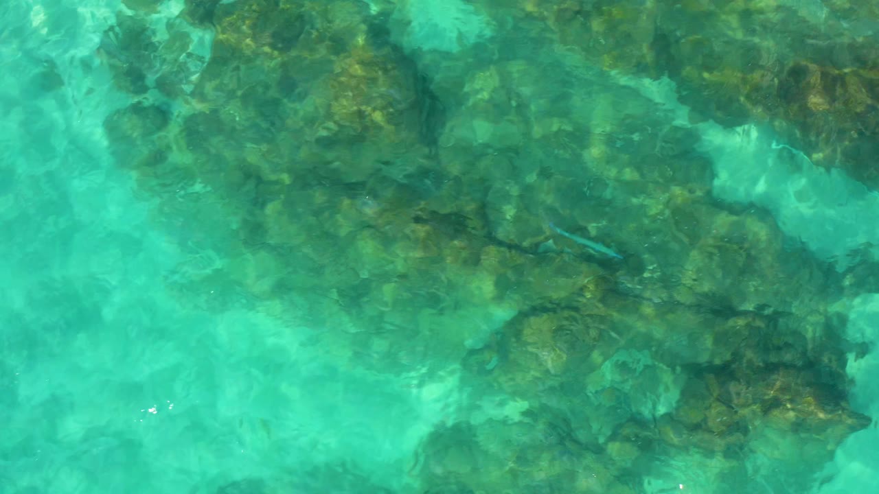 Clear shallow water reveals broad dark reef forms and lighter sandy areas in Baja California Sur, Mexico, with no visible people.