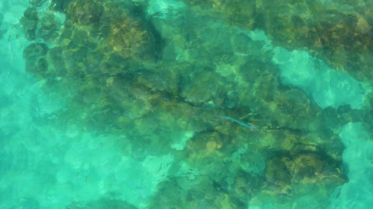 A submerged reef band crosses beneath turquoise water in Baja California Sur, Mexico, with faint surface texture and no visible people.