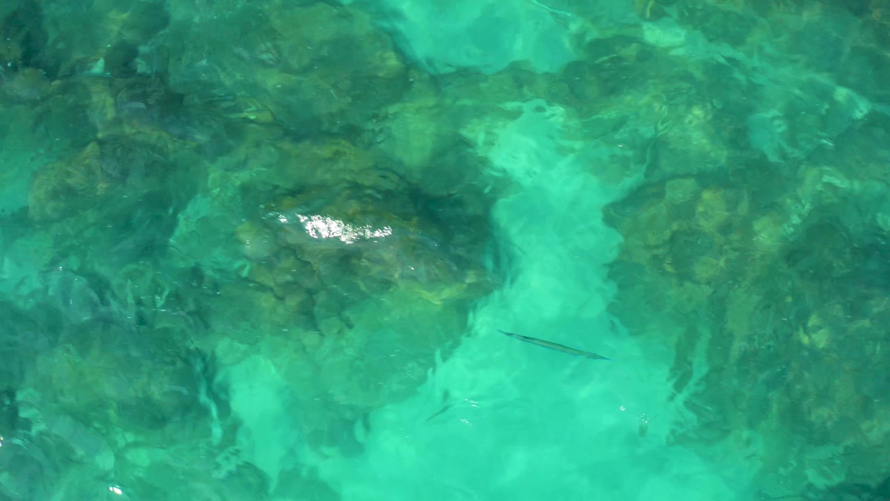 Top-down Baja California Sur water detail with submerged rocks, rippled green-blue surface, a thin dark underwater shape, and no visible people.