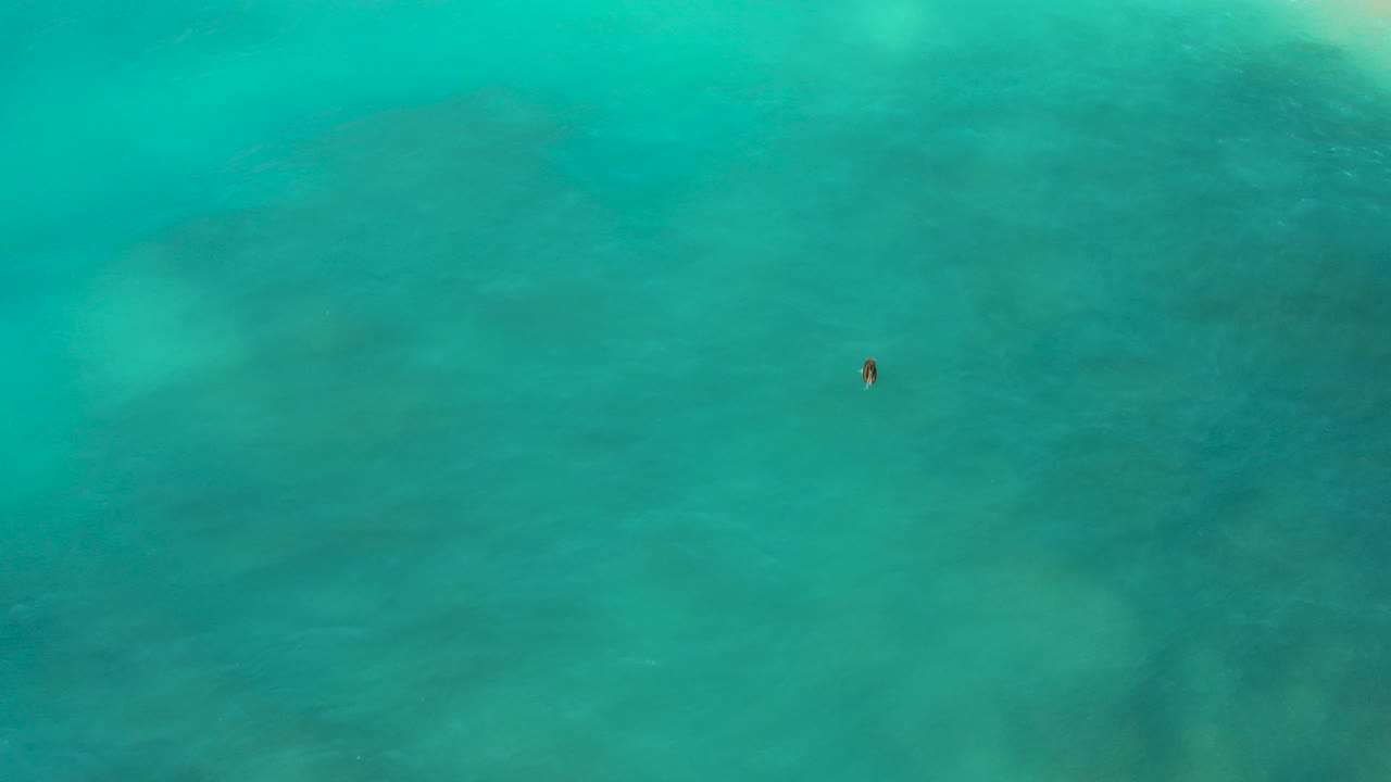 Overhead frame from Desert Park Natural Reserve, Baja California Sur, showing a lone surfer as a small dark figure in broad turquoise water with faint underwater texture.