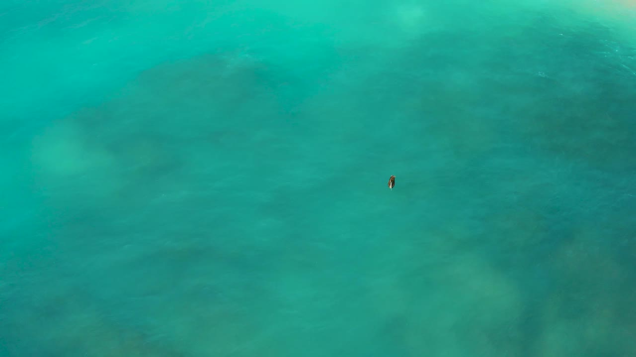 Aerial frame from Desert Park Natural Reserve, Baja California Sur, showing the lone surfer high in the composition against open turquoise sea with muted darker water beneath.
