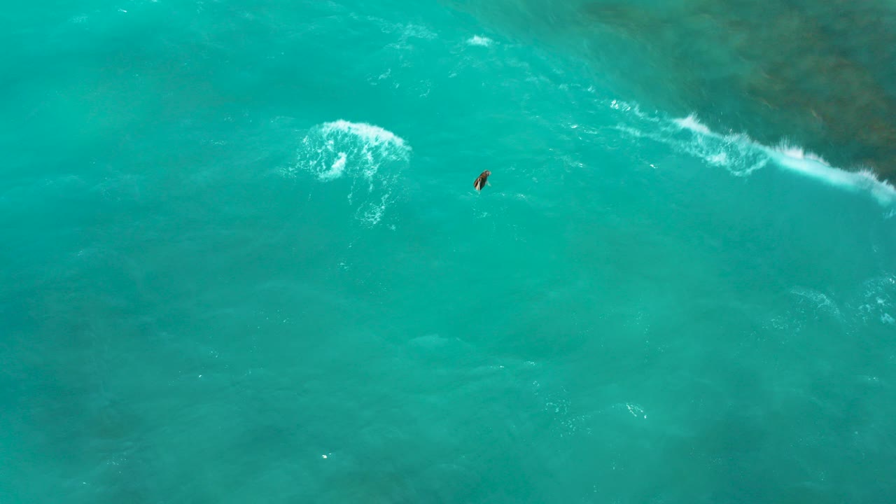 Top-down aerial frame from Desert Park Natural Reserve in Baja California Sur showing a lone surfer as a small figure in turquoise water with white foam to the upper left.