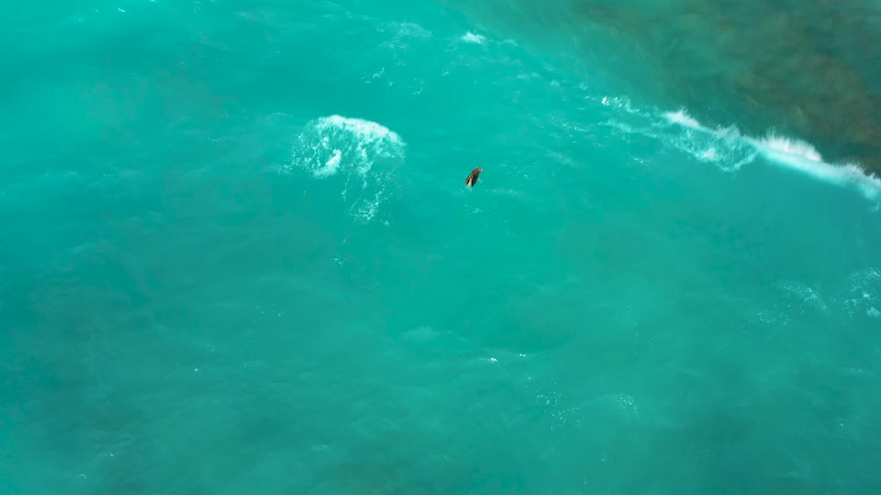 Lone surfer in turquoise water with a breaking wave line near the top edge.