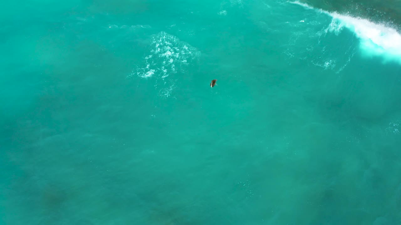 High-angle aerial frame in Baja California Sur with a lone surfer surrounded by open turquoise water and foamy surf crossing the upper right corner.