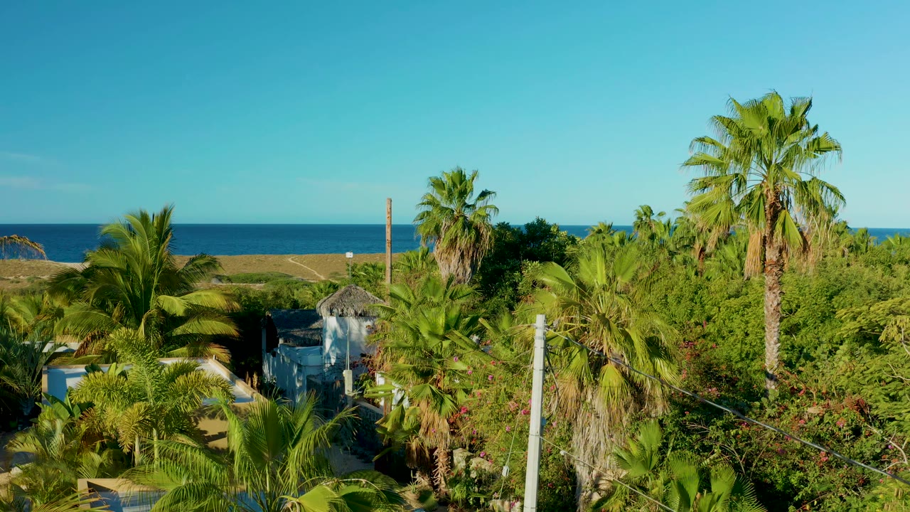Palms and residential greenery with ocean still visible in the background.