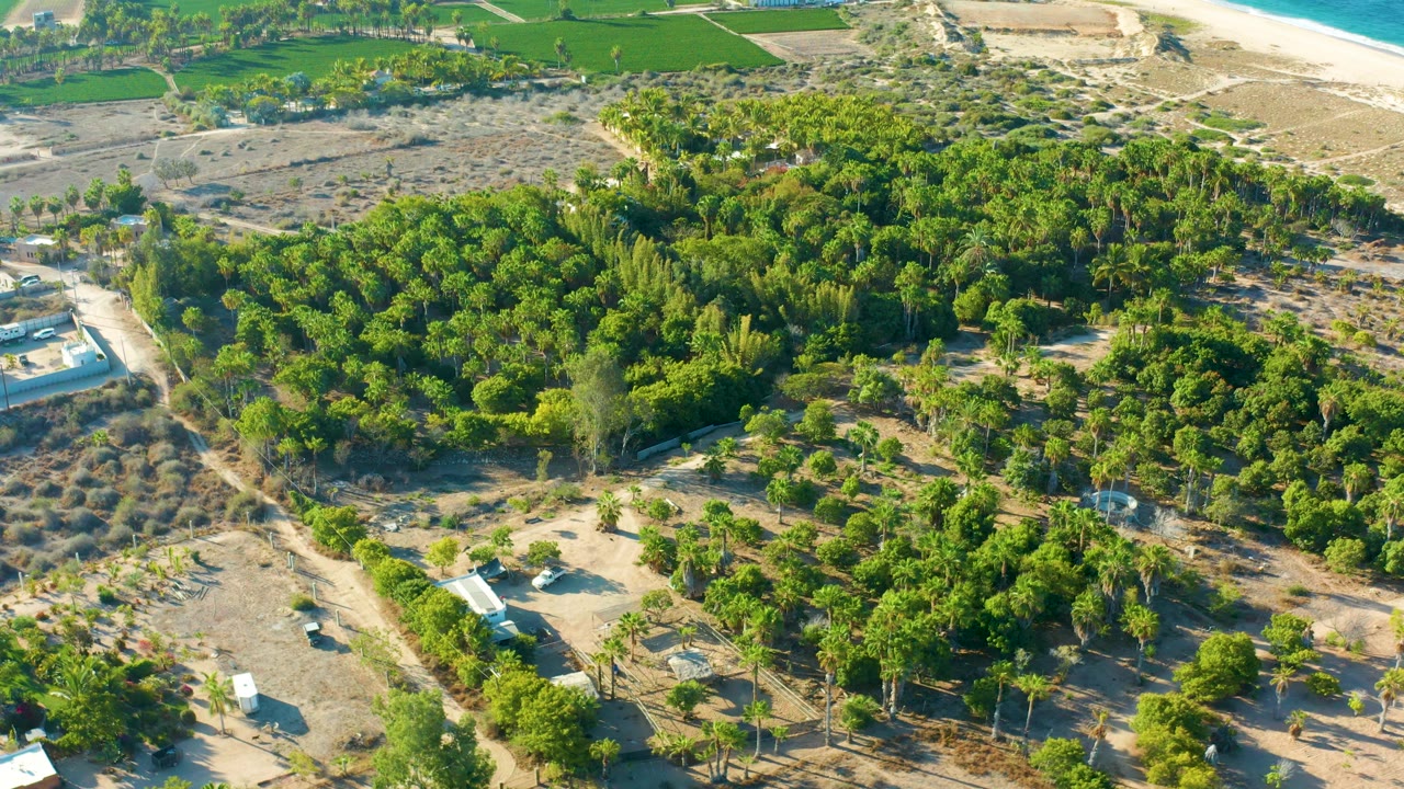 Drone view across trees, sandy paths, farm fields, and beach edge.
