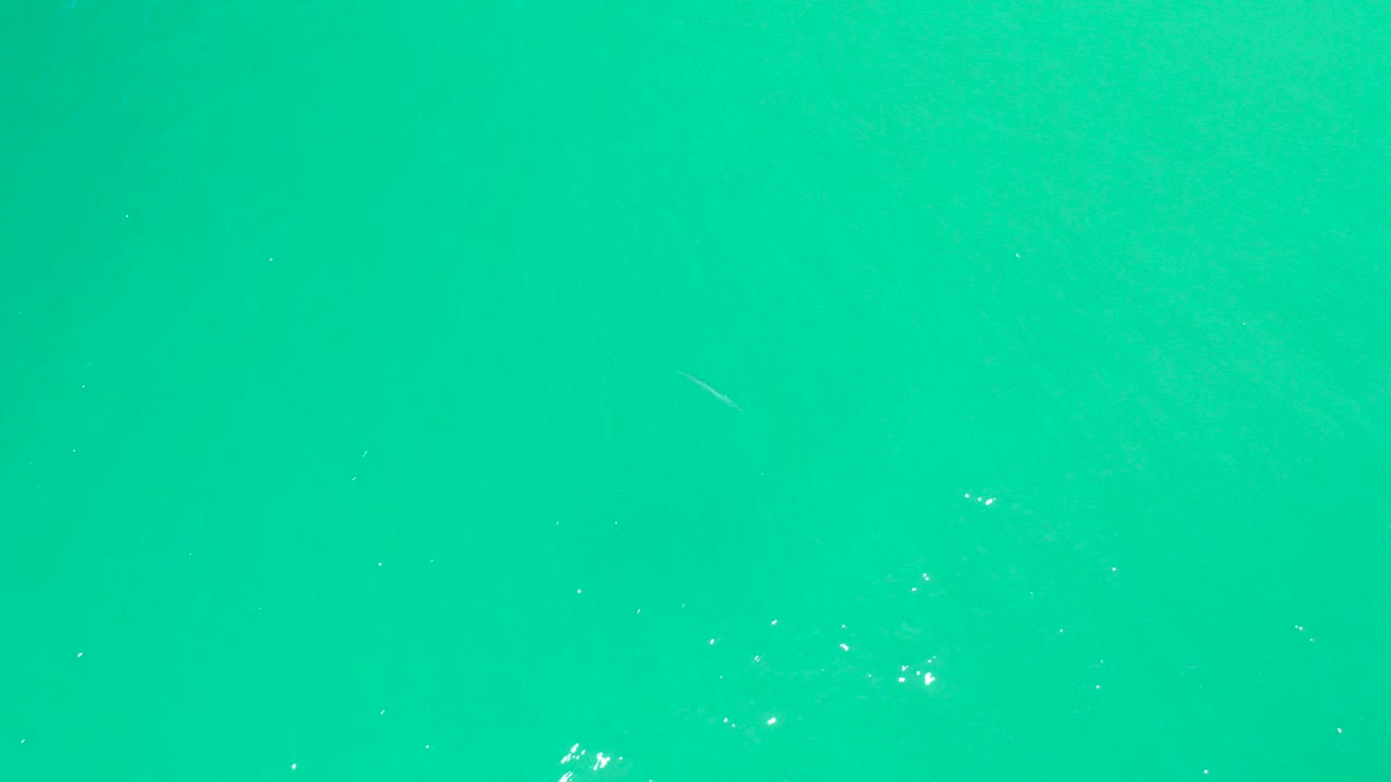 Turquoise ocean surface with small white foam flecks