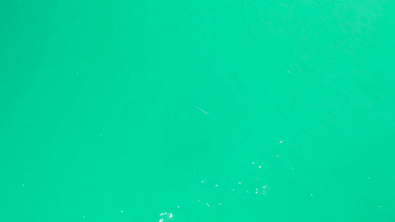Clear turquoise water at Dreams Los Cabos BCS Mexico with sparse foam marks spread across the surface and no visible people.