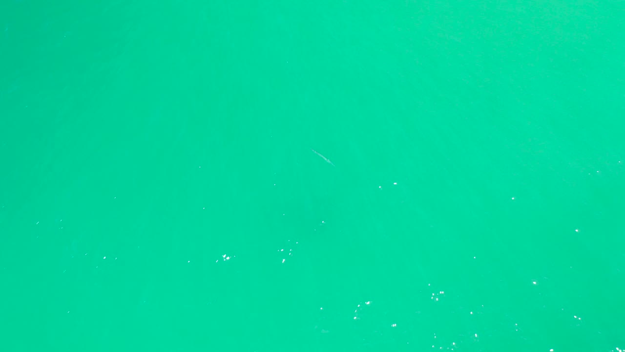 Bright turquoise sea surface at Dreams Los Cabos BCS Mexico with tiny white bubble clusters and no visible people or shoreline.