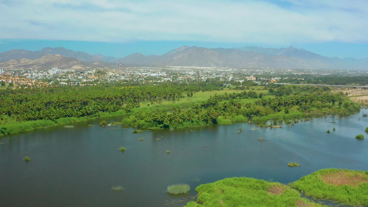 San Jose Del Cabo aerial frame with dark river water along the lower edge, bright green reeds and banks, a broad tree belt, distant city buildings, mountains, and no visible people.