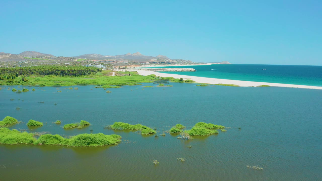 Aerial view of the San Jose del Cabo Estuary, Mexico, with clustered green vegetation low in the frame, pale sand across the middle, blue ocean beyond it, and no visible people.