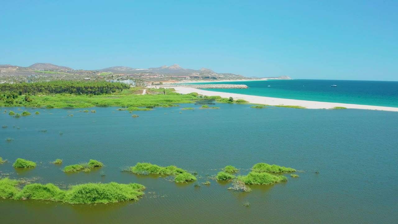 Broad lagoon water with vegetation patches and beach leading to ocean