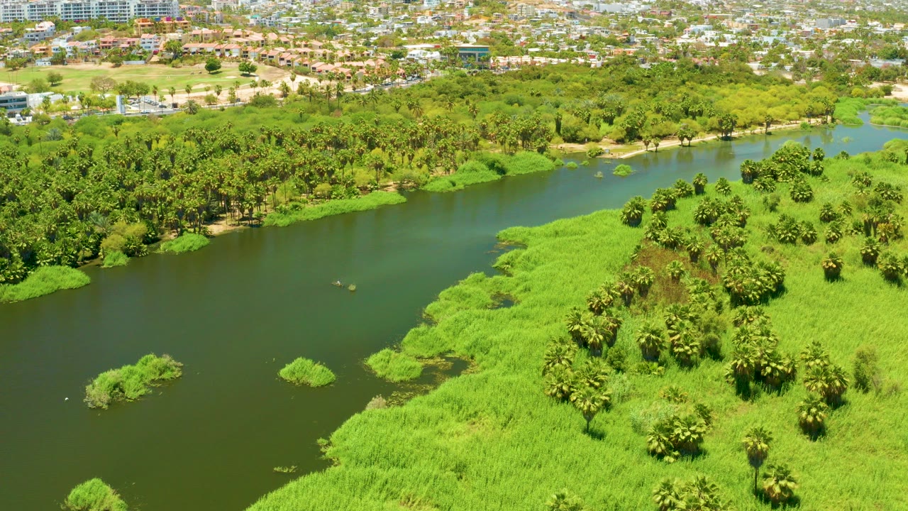 Aerial view of green river water, bright marsh grass, palms, and distant city buildings.
