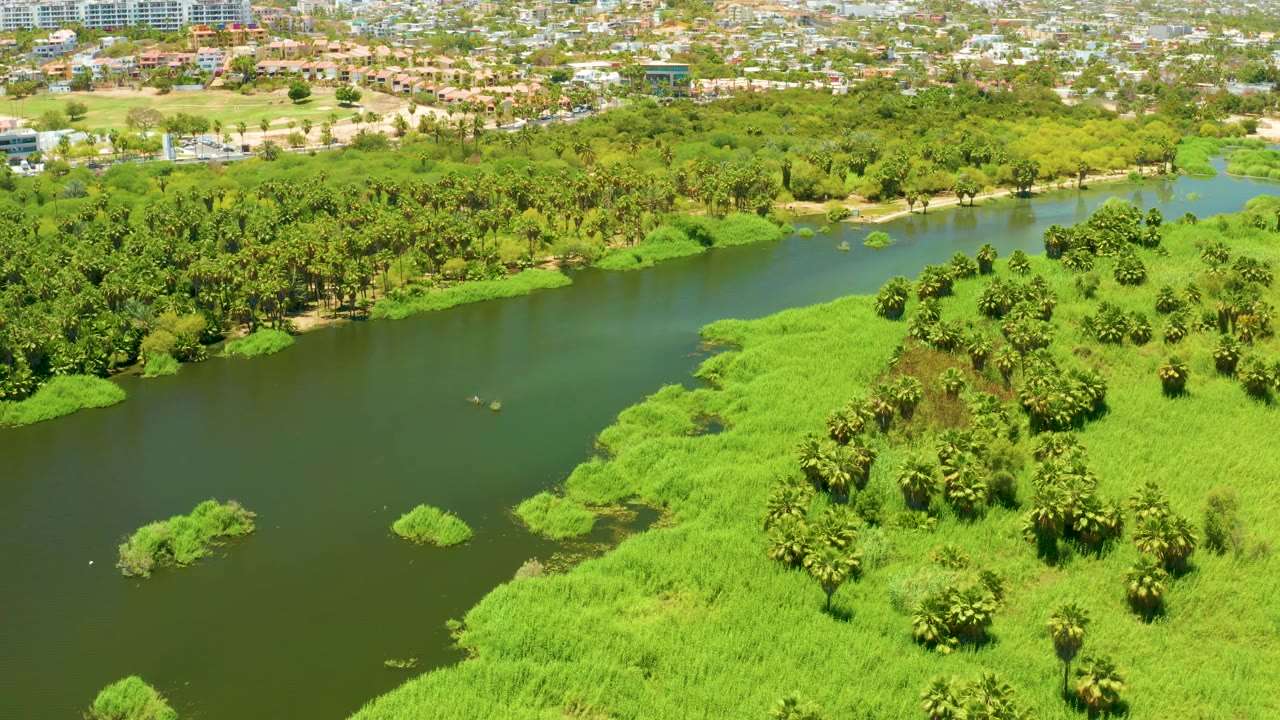 Aerial frame from San Jose del Cabo Estuary BCS Mexico with the river running across the left side, dense green banks and palms on the right, distant development, and no visible people.
