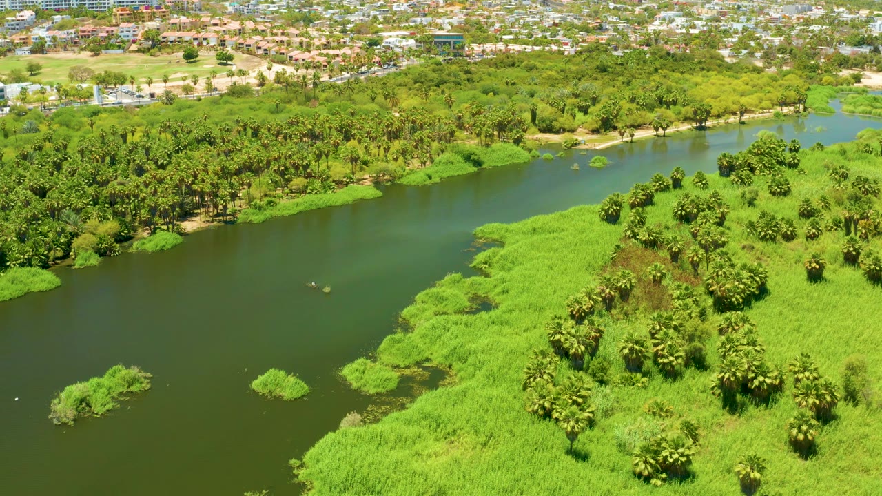 Aerial frame from San Jose del Cabo Estuary BCS Mexico showing a wider stretch of dark green water, small vegetation patches near the bank, palms, distant buildings, and no visible people.