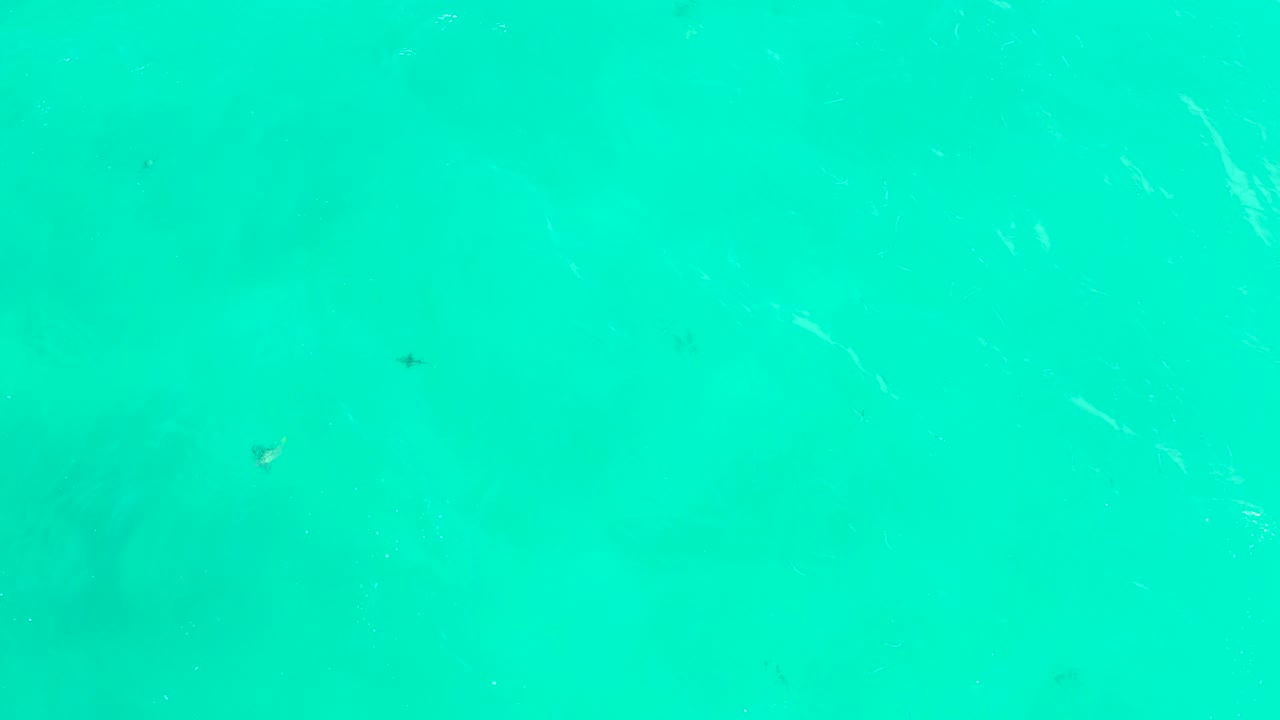 At 0:00, small dark fish are scattered in clear turquoise water at Hilton Los Cabos BCS Mexico, with faint bottom shapes and no visible people.