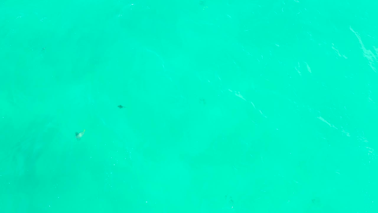 At 0:01, tiny fish appear farther apart across the pale turquoise water, with light ripples near the surface and no visible people.
