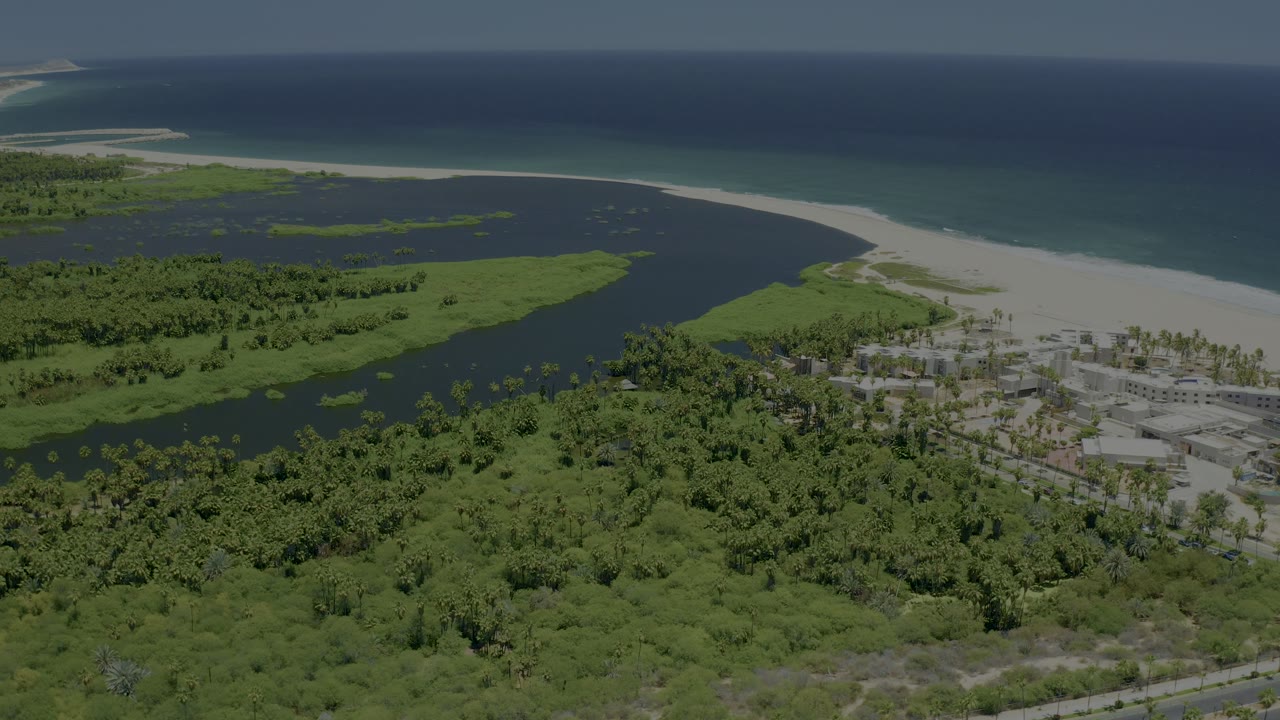 Opening aerial frame over San Jose del Cabo, Mexico showing dense green coastal vegetation, dark lagoon water, pale beach, blue ocean, and no visible people.