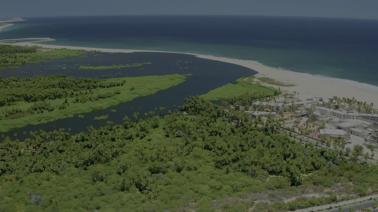 Aerial frame over San Jose del Cabo, Mexico with the lagoon curving beside mangroves, a sandy shoreline to the right, ocean beyond, and no visible people.
