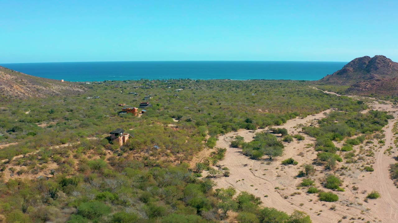 Aerial view over Cabo Pulmo desert scrub where pale sandy tracks split through the foreground toward a dark rocky hill and flat blue ocean horizon, with no visible people.