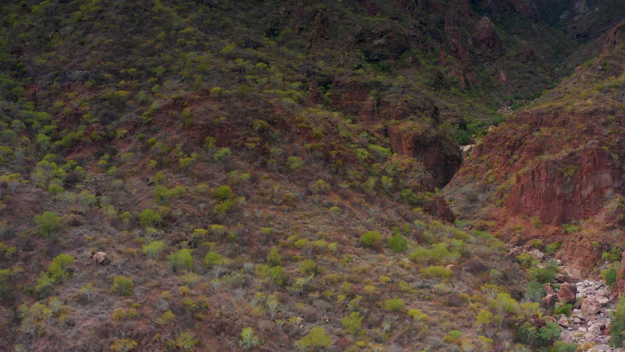 Rocky hillside in Puerto Escondido BCS Mexico with sparse green vegetation, red-brown soil, and a narrow rocky wash, no visible people.