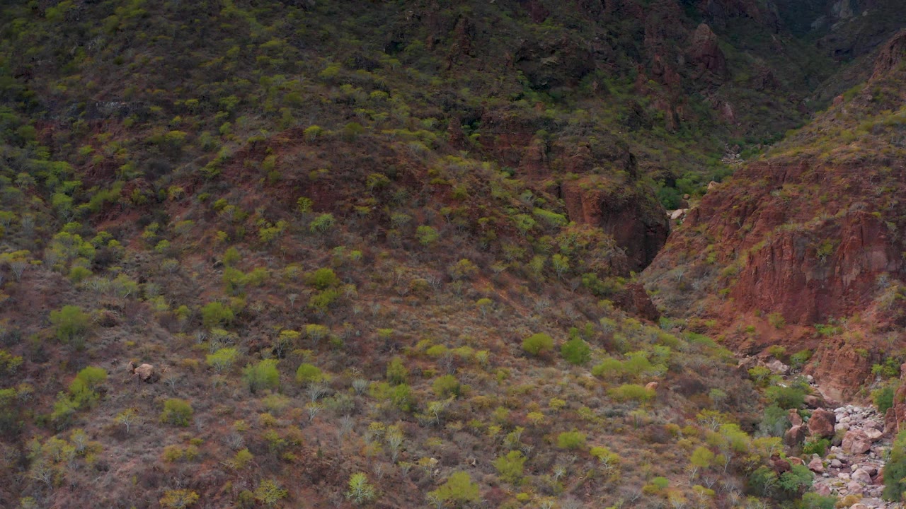 Puerto Escondido BCS Mexico hillside frame with scrub vegetation, reddish exposed rock, darker brush patches, and no visible people.